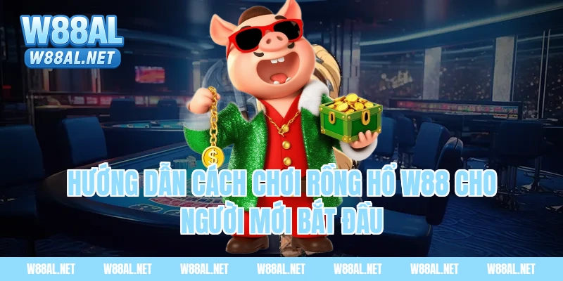 Hướng dẫn cách chơi rồng hổ W88 cho người mới bắt đầu